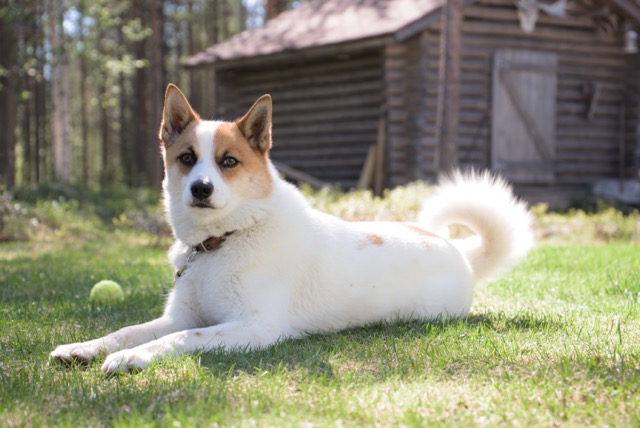 Maintenance portrait